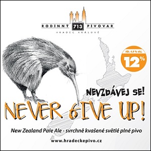 NEVER GIVE UP! Nevzdávej se